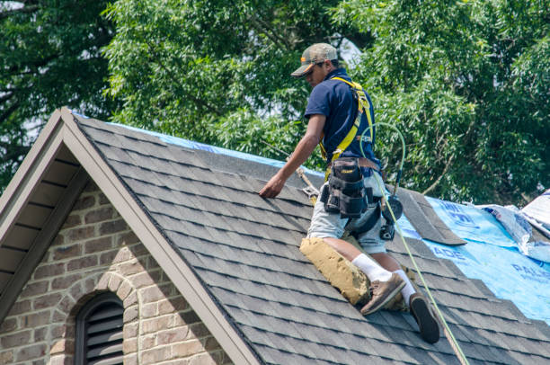 Professional Roofing Contractor in Beebe, AR